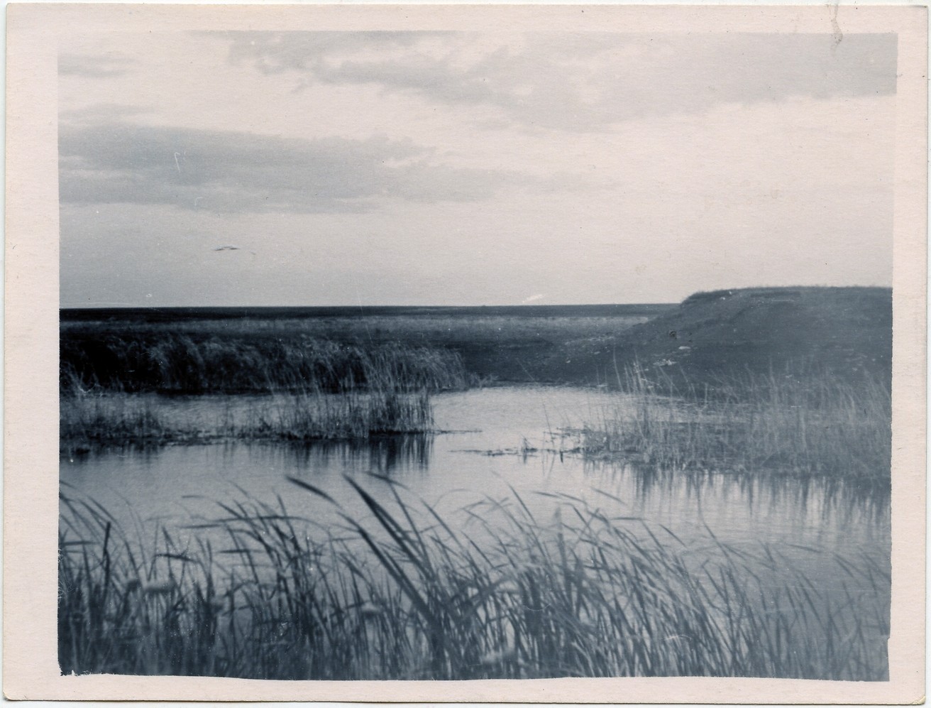 Река Салмыш