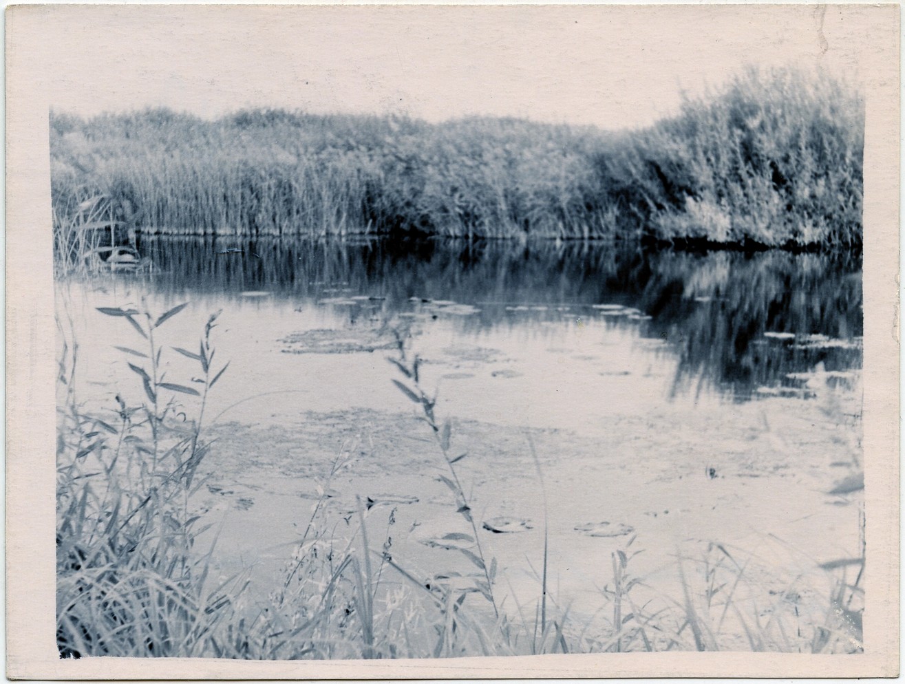 Река Салмыш