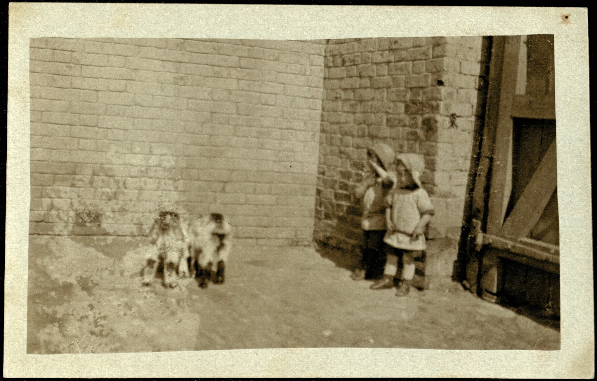 Двор Сибгатуллы Гайнулловича Хасанова