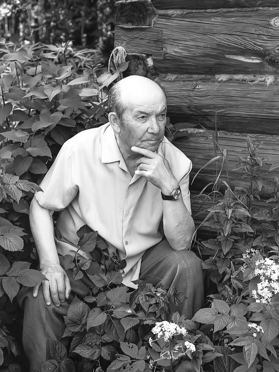 Портрет писателя Гумера Баширова