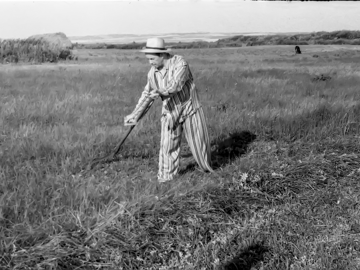 Гумер Баширов косит траву на лугу