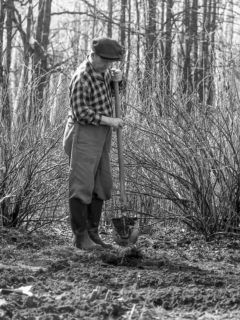 Писатель Гумер Баширов за работой в огороде