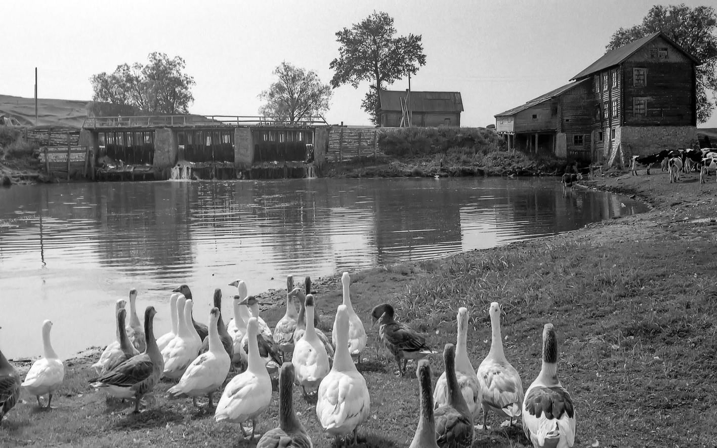 Пруд и старая водяная мельница села Янгул Балтасинского района